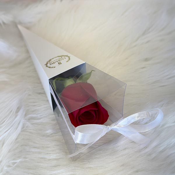 A single rose, perfect for gifting with a touch of simplicity and elegance. white fuzzy background